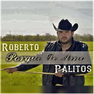 Porque Te Amo(feat. Max Baca)