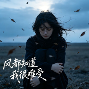 风都知道我很难受 (心痛版)