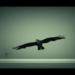 Ptaszęta (feat. NINJA SPK & Rapum) (Explicit)