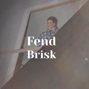 Fend Brisk