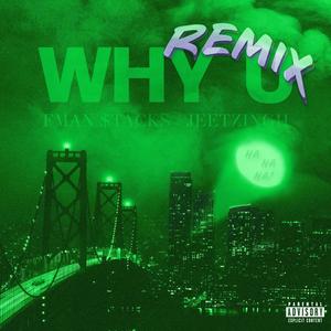 WHY U (Remix|Explicit)