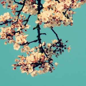 Cycle (prod. pdr0sa)