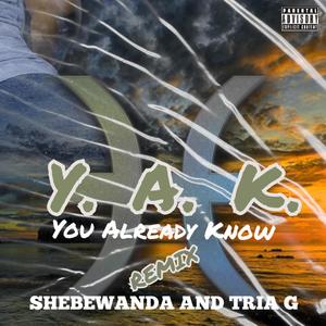 You Already Know (feat. Tria G) [Y.A.K. Remix] [Explicit]