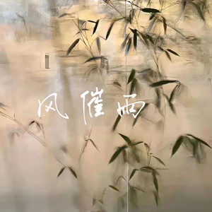 风催雨 (DJ版)封面
