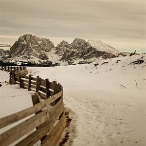 我肯定在几百年前就说过爱你