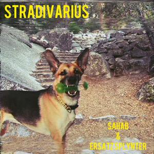 Stradivarius (feat. Sahab) (Explicit)