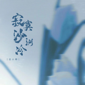 寂寞沙洲冷 (DJ版)