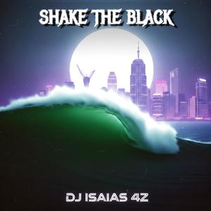 SHAKE THE BLACK (Super Slowed)
