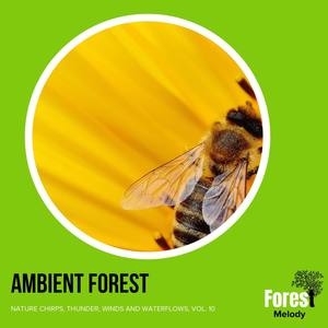 Ambient Forest - Nature Chirps, Thunder, Winds and Waterflows, Vol. 10