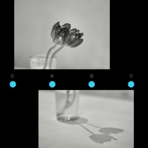 花鳥風月 (feat. microM)