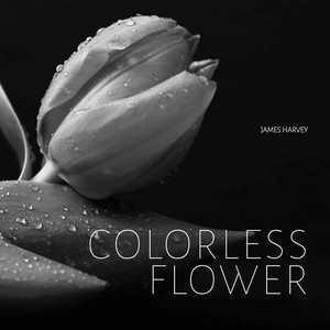 Colorless Flower