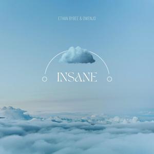 Insane (feat. OwenJD) [Explicit]