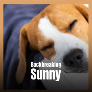 Backbreaking Sunny