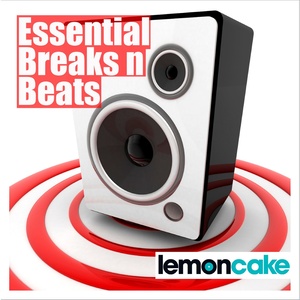 Essential Breaks 'n' Beats