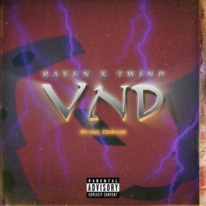 VND (feat. TwinP) (Explicit)