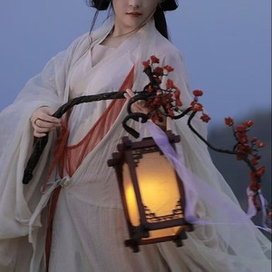 千年泪 (穿越千年的眼泪只有梦里看得见)