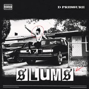 SLUMS (Explicit)