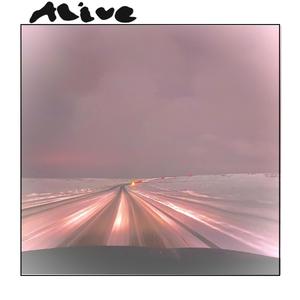 Alive (feat. Starbound)