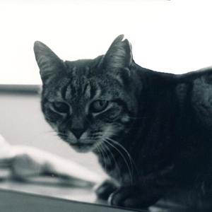 When the Alarm Rings