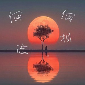 俩俩相忘封面