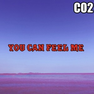 You Can Feel Me (CO2REMIX)