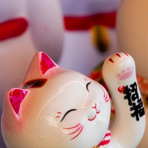 福气猫猫
