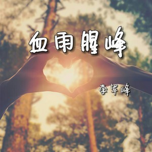 李军峰 - 皇朝中我指鹿为马