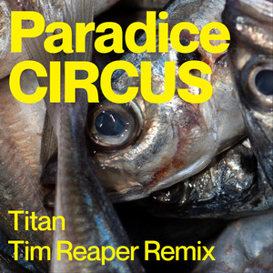 Titan (Tim Reaper Remix)