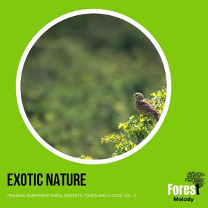 Exotic Nature - Tranquil Rainforest Birds, Crickets, Toads and Flocks, Vol. 3