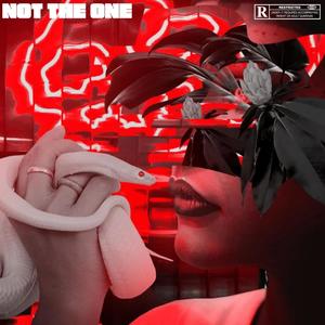 Not The One (Explicit)