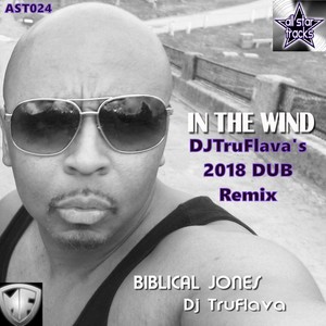 In The Wind (DJTRuflava Dub Remix|Remix)