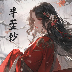 半壶纱 (DJ氛围版)