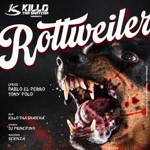 Rottweiler (feat. Pablo el Perro, TonyPolo & Dj Principino) [Explicit]