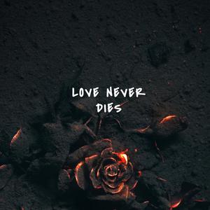 Love Never Dies