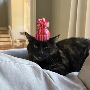 Savage when i rise (Explicit)