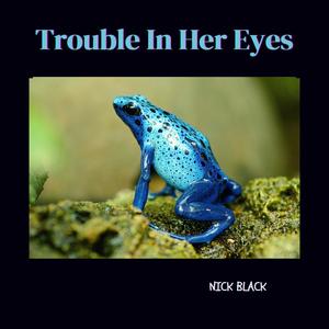 Trouble In Her Eyes (Demo Version)