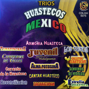 Trios Huastecos Mexico