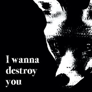 I Wanna Destroy You