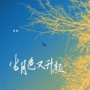 当月色又升起