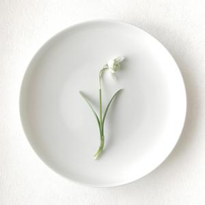 Will This Last Forever? (Inst.)