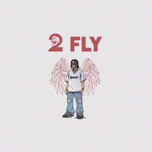 2 FLY (Explicit)