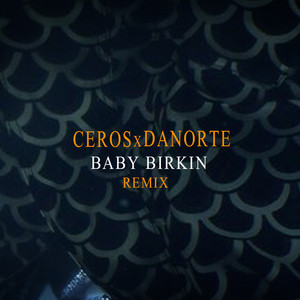 Baby Birkin (Remix)