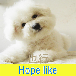 心愿便利贴-苏可可&Along