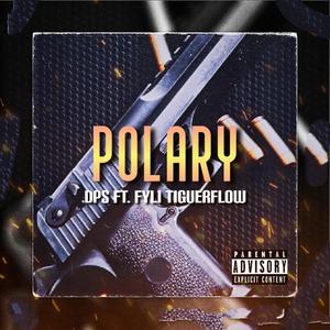 Polary (feat. Dps & Fyli)