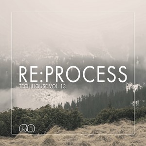 Re:Process - Tech House, Vol. 13