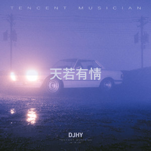 天若有情 (DJHY remix)