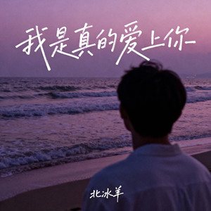 我是真的爱上你 (摇滚版)