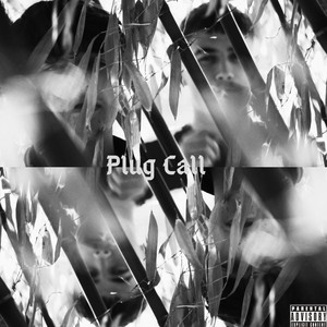 Plug Call (Explicit)