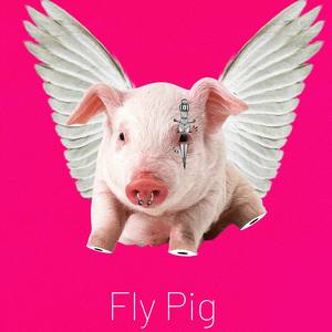 flying pig (Explicit)