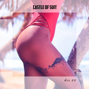 Castle Of Suit Hit 22